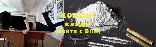 соль ск Лагань