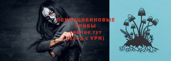 соль курить ск Ладушкин