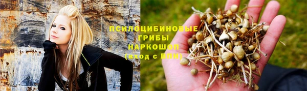 винт Куйбышев